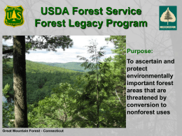 Leaving a Forest Legacy