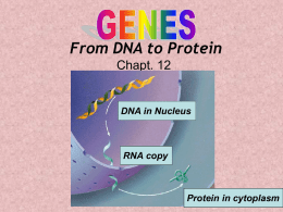 The Genetic Material DNA and it’s Role Chapt. 11