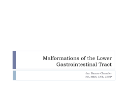 Malformations of the Lower Gastrointestinal Tract