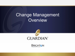 Change Management - Brighton Leadership Group