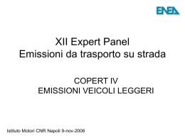 XII Expert Panel Emissioni da trasporto su strada