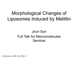 Interaction of Melittin with Liposomes