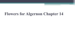 Flowers for Algernon Chapter 14