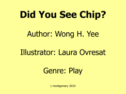 Did You See Chip? Author: Wong H. Yee Illustrator: Laura