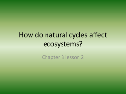 How do natural cycles affect ecosystems?
