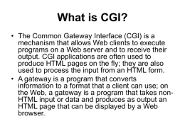 What is CGI?