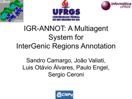 IGR-ANNOT: A Multiagent System for InterGenic Regions