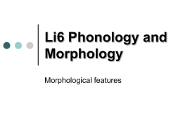 Li6 Phonology and Morphology