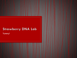 Strawberry DNA Lab - Mrs. Basepayne's Science Spot