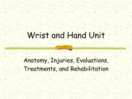 Wrist and Hand Unit - Olympic High School