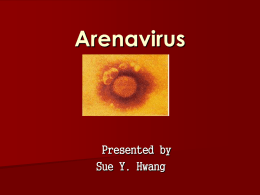 Arenavirus - University of Florida