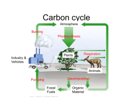 Carbon cycle - My Science Box
