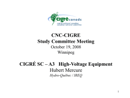 CNC CIGRE SC COMMITTEE MEETING November 22, 2004 …