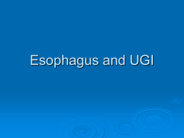 Esophagus and UGI - Faculty Web Sites If you are a s