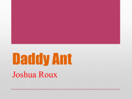 Daddy Ant - Chesterhouse