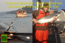 Possible Toxicity of Fire Ant Consumption to Yellowfin Shiners