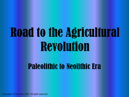 Road to the Agricultural Revolution