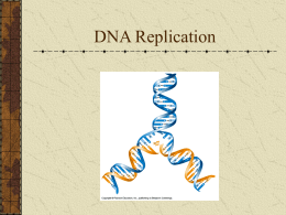 DNA Replication - Mt. SAC Faculty Contact Directory