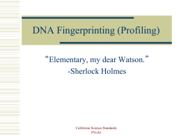 DNA Fingerprinting - Valhalla High School