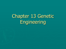 Chapter 13 Genetic Engineering - Mrs. Moyer