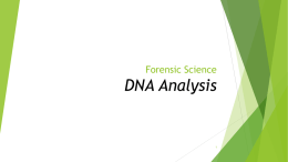 Preparing DNA Samples for Fingerprinting