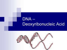 DNA – Deoxyribonucleic Acid
