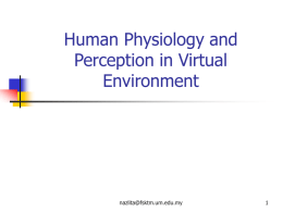 Human Physiology and Perception in Virtual Environment