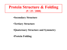 Three Dimensional Protein Structures