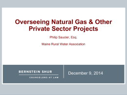 Overseeing Natural Gas & Other Private Sector Projects