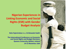 Nigerian Experiences in Linking Economic and Social Rights