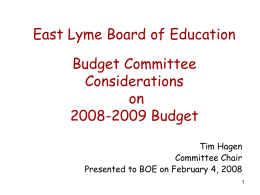 Budget Committee Considerations on 2008