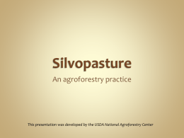 Silvopasture - University of Nebraska–Lincoln