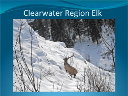 Elk Population and Current Trends Presentation