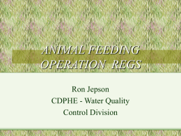 ANIMAL FEEDING OPERATIONS - Colorado State University