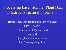 Processing Laser Scanner Plant Data to Extract Structural