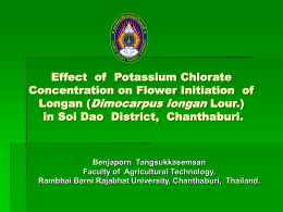 Effect of Potassium Chlorate Concentration on Flower