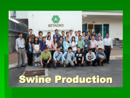 Swine Production - Mekong Institute