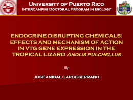 ENDOCRINE DISRUPTING CHEMICALS: EFFECTS AND …