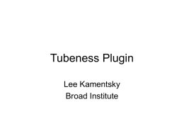 Tubeness Plugin - Broad Institute