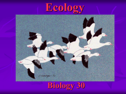 Ecology - Lamont High