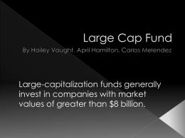 Large Cap Fund - University of Arkansas