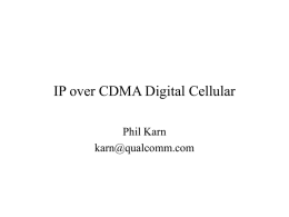 IP over CDMA Cellular IAB Wireless Workshop