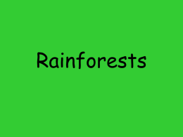 Rainforests - Churchville-Chili Central School District