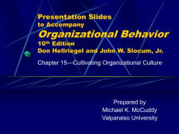 Chapter 15: Cultivating Organizational Culture