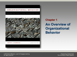 Organizational Behavior 9e