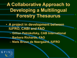 A Collaborative Approach to Developing a Multilingual