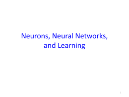Neurons, Neural Networks, and Learning