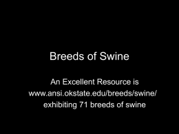 Breeds of Swine - Purdue University