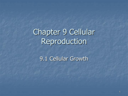 Chapter 8 Cellular Transport and the Cell Cycle