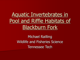 Aquatic Invertebrates in Pool and Riffle Habitats of